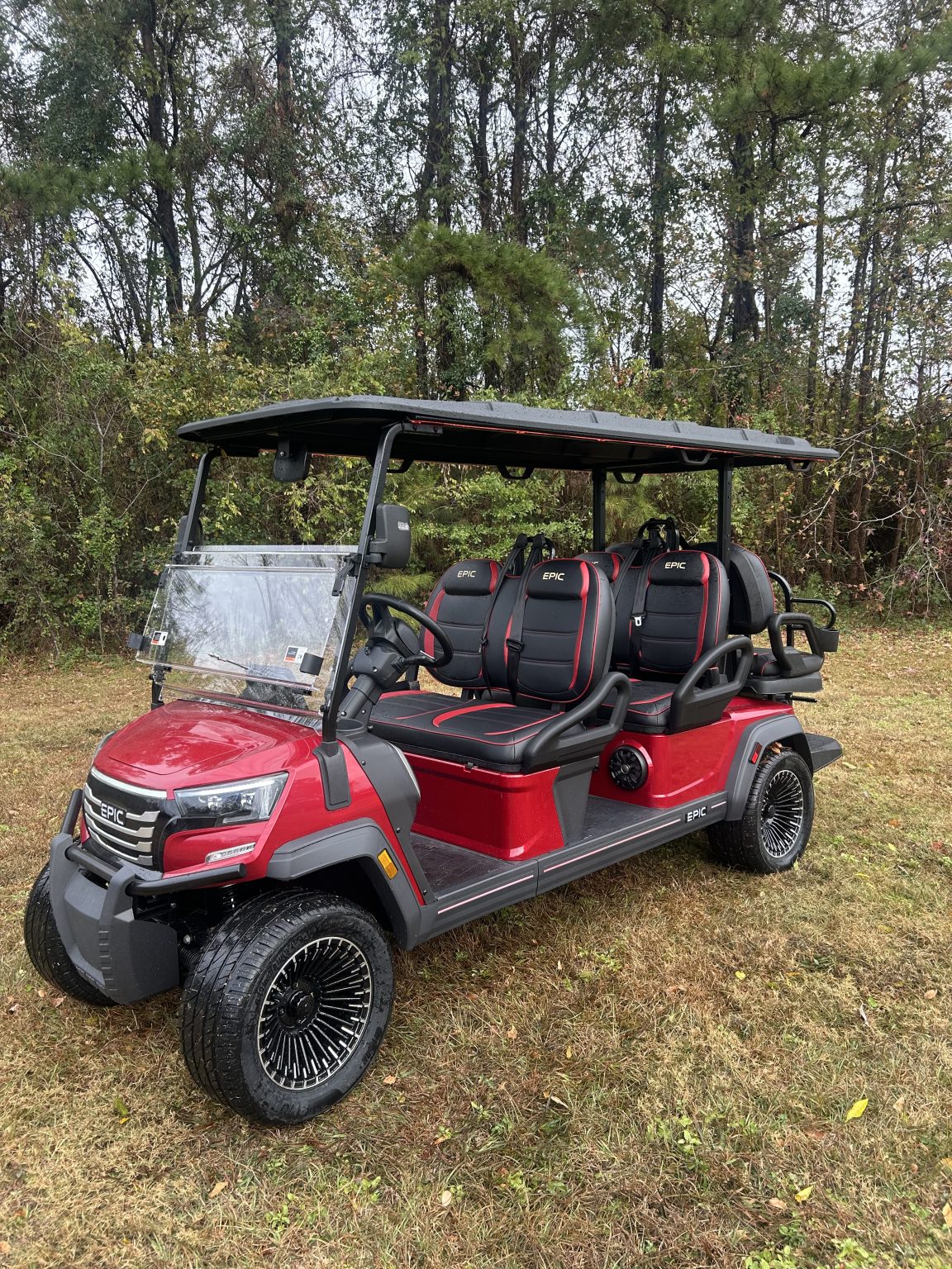 Great Day Golf Carts 1
