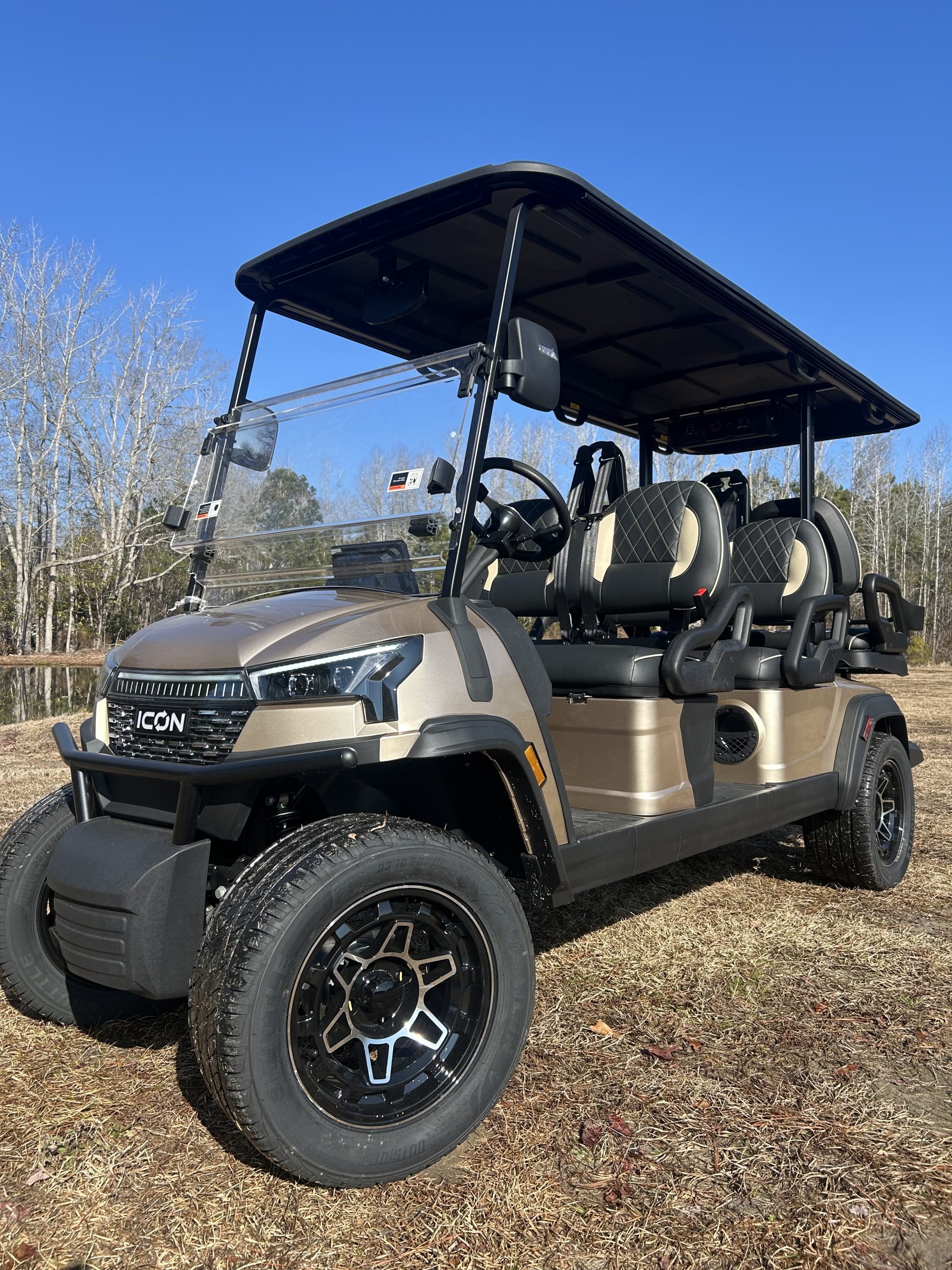 2026 ICON I60LX Champagne