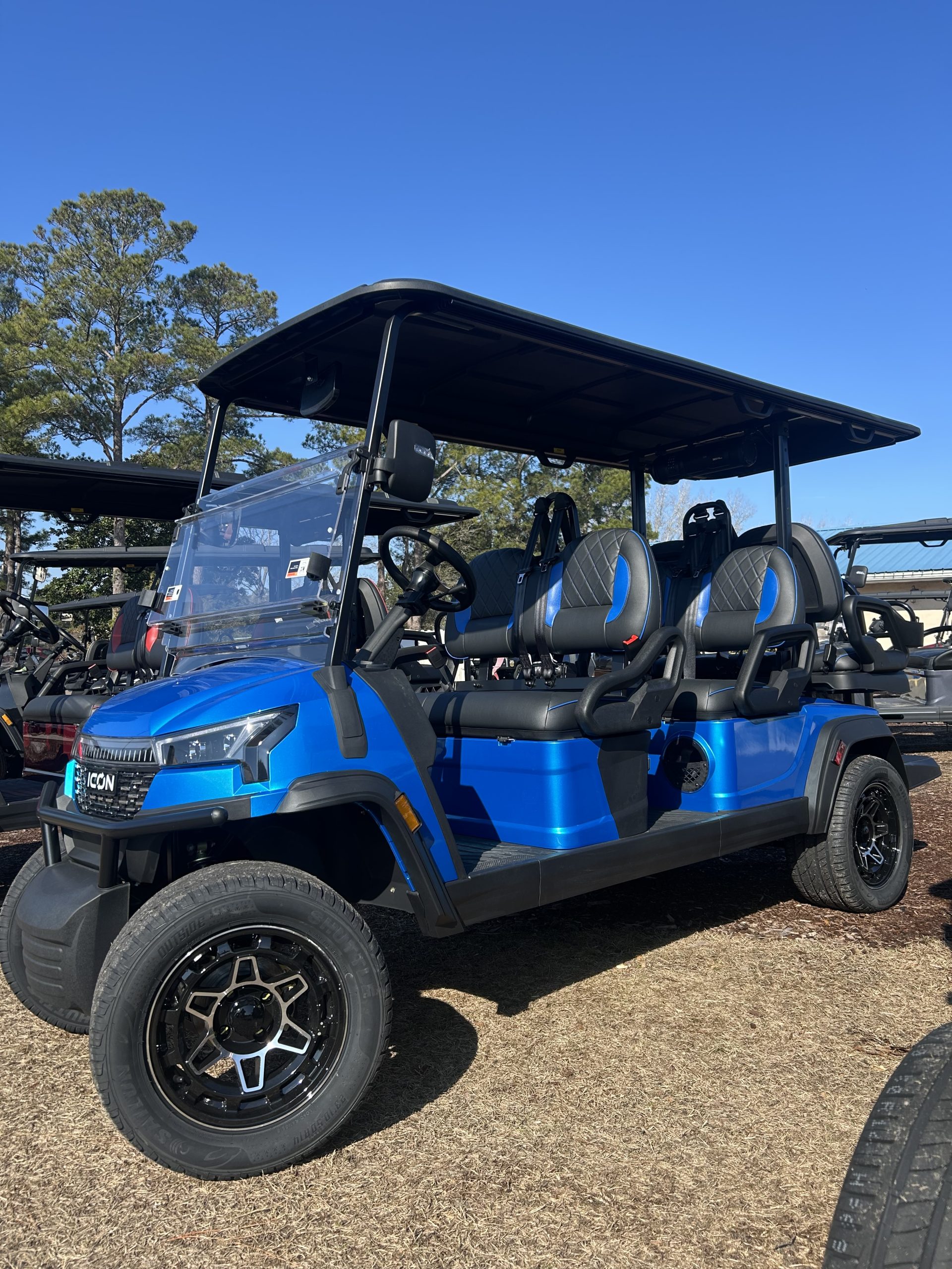 2026 ICON I60LX Caribbean