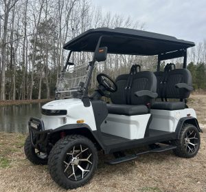 2026 Denago Rover XL White